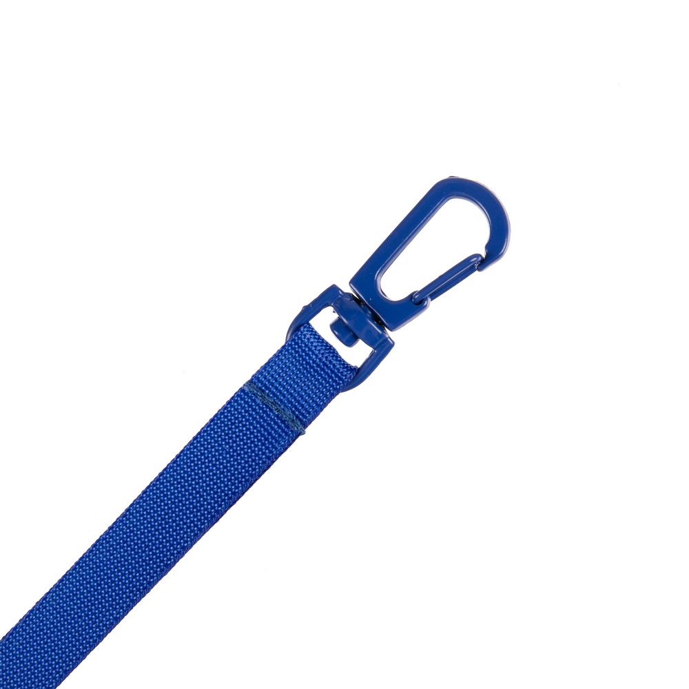 Застежка-карабин Snap Hook, S, синяя